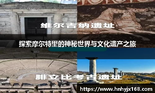 OD体育官方网站